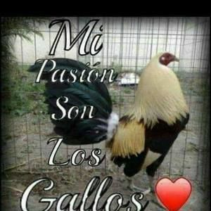 Meet your Posher, Ivan